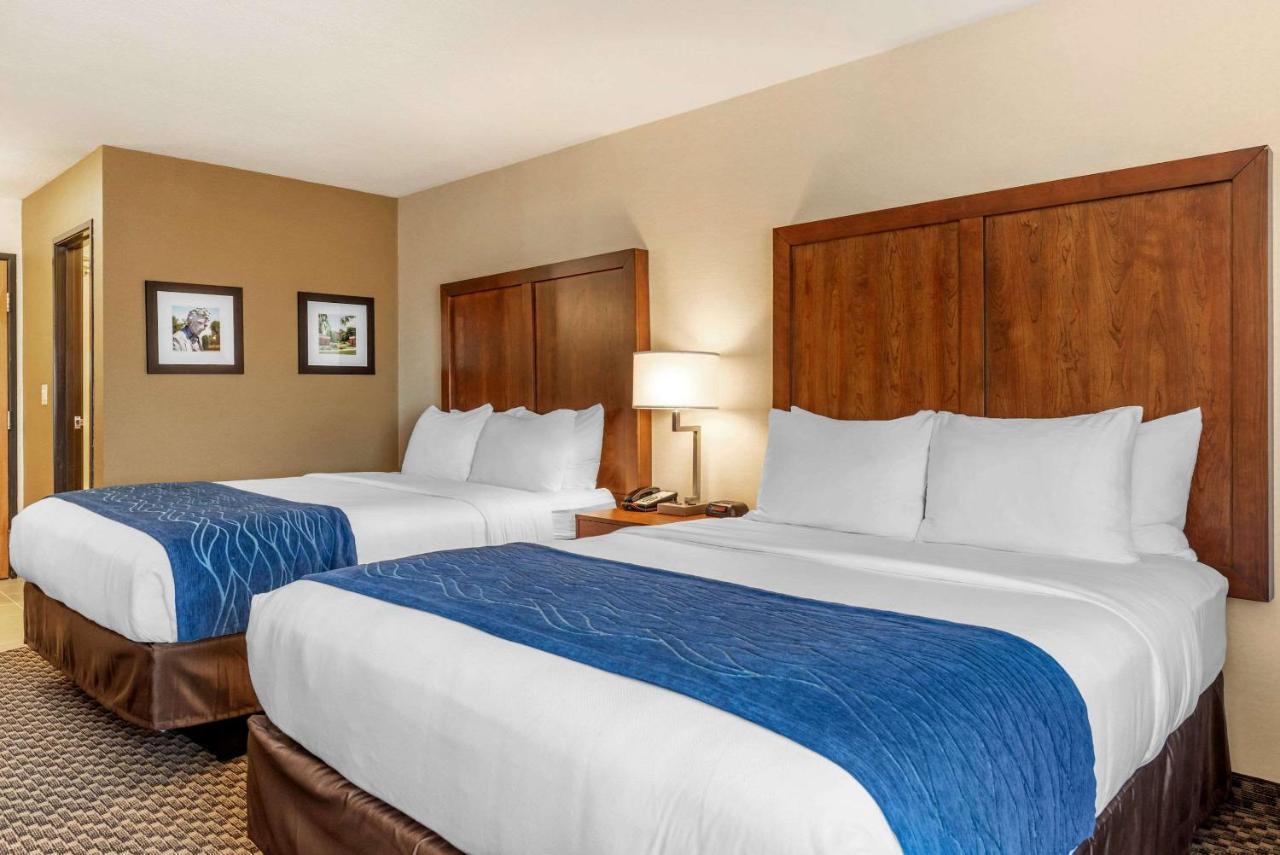 Comfort Inn & Suites Near Route 66 Lincoln Zewnętrze zdjęcie